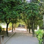 15-05-25CastrelosJardn_05