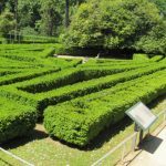 15-05-25CastrelosJardn_08