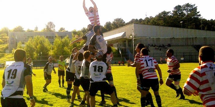 Tres equipos del Vigo Rugby se proclamaron campeones de la Copa Xunta