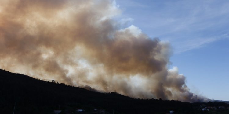 Varios incendios forestales de grandes dimensiones ponen en peligro el Rally de Portugal