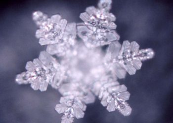 Aprender sobre nosotros mismos, la llave de nuestro bienestar