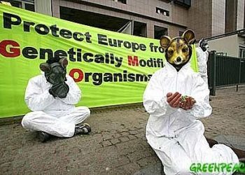 ¿Debemos tenerle miedo a los transgénicos?