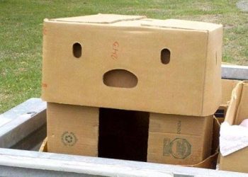 Pareidolia: en ocasiones, veo caras