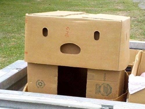 Pareidolia: en ocasiones, veo caras