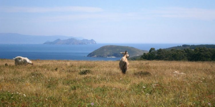 O Parque Nacional Illas Atlánticas recibirá a Carta Europea de Turismo Sustentable