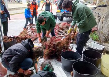 Doble celebración del Día de los Océanos recogiendo basura en la Ría