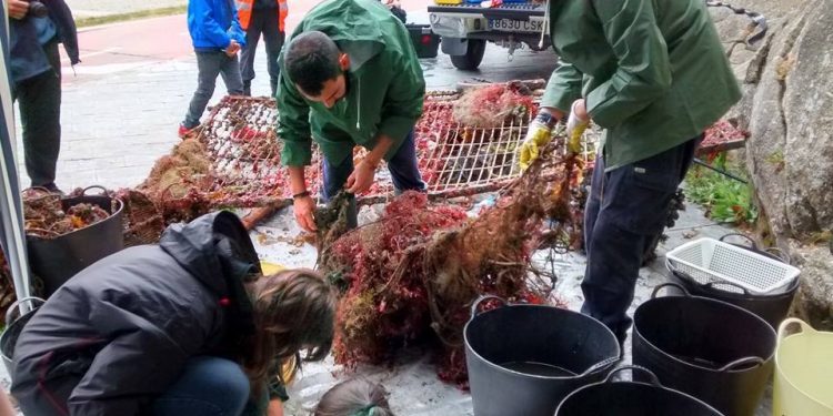Doble celebración del Día de los Océanos recogiendo basura en la Ría