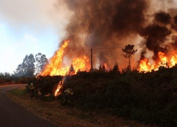 Extinguido el incendio de Boborás tras calcinar 185 hectáreas