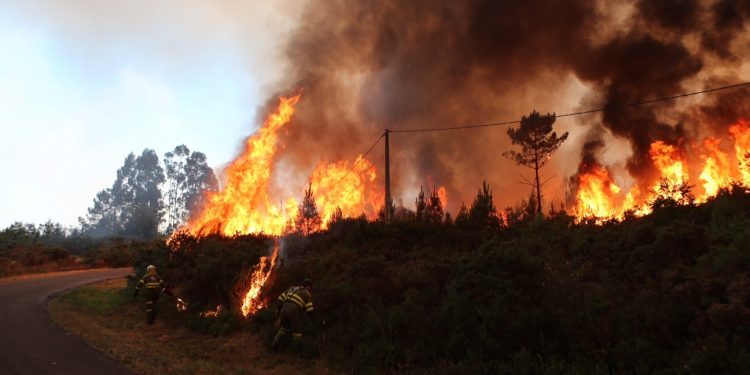 Extinguido el incendio de Boborás tras calcinar 185 hectáreas