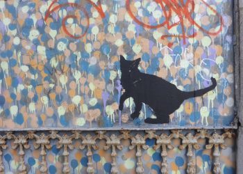 El gato negro y otros animales urbanos