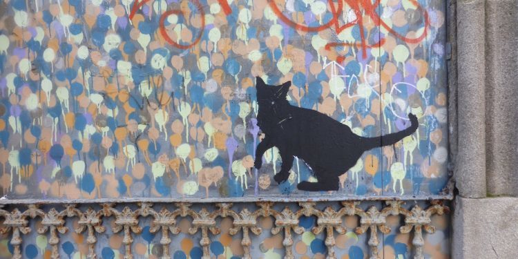El gato negro y otros animales urbanos