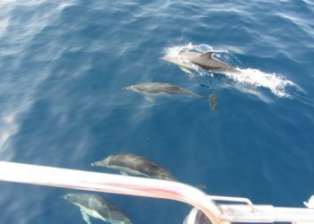 El «Alba Plena» entra en el Mediterráneo