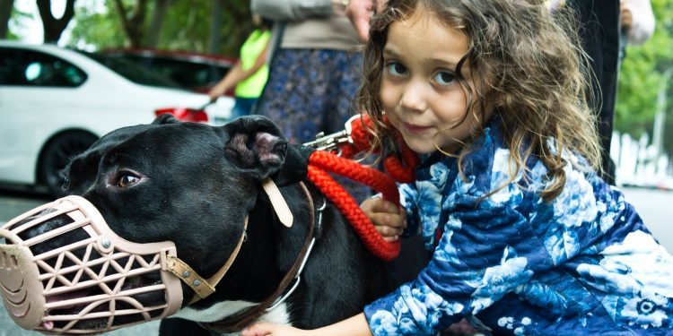 Cien personas manifiestan en Samil que sus perros no son peligrosos