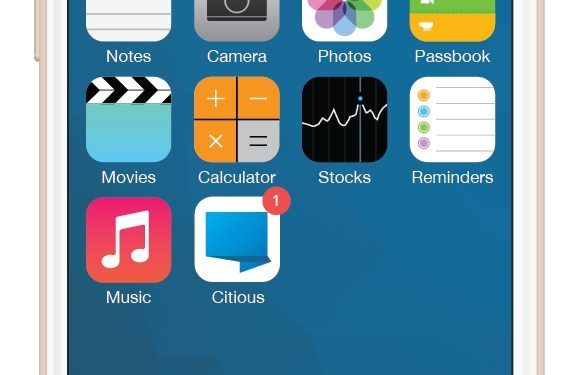 La viguesa Citious, seleccionada para el campus de Google