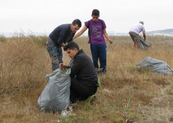 Voluntarios retiran cientos de plantas invasoras en Playa América