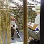 Anterior edicin de Bosquexo 4