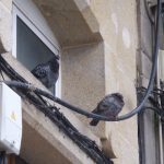 Cualquier rincon es bueno para dormir