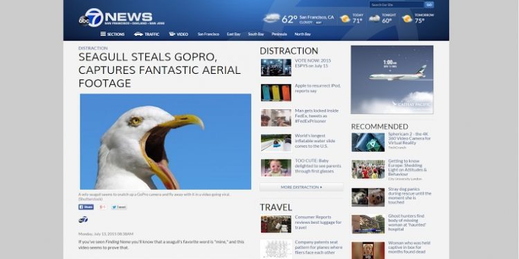 La «gaviotadrón» supera el millón de visitas y da la vuelta al mundo