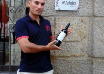 Cata en AVeleira Viños