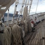 creoula 5