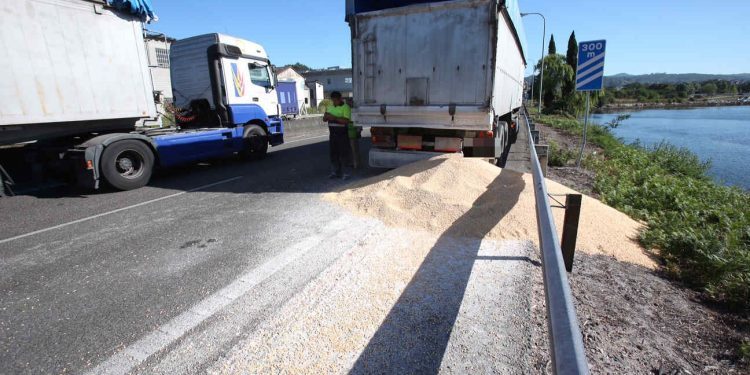 Un camión pierde su carga de maíz y causa retenciones en la AP9