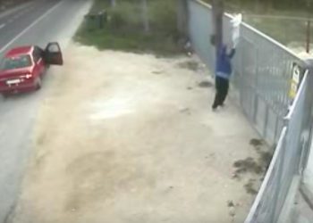 Grabados lanzando un perro por encima del portal de la Protectora de Pontevedra