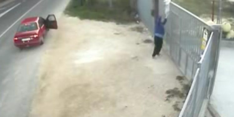 Grabados lanzando un perro por encima del portal de la Protectora de Pontevedra