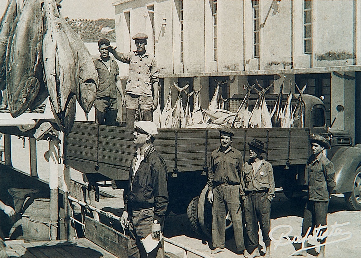 Descarga de atún en Setúbal Portugal