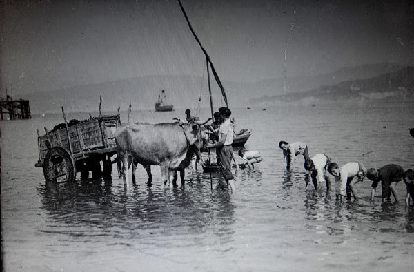 El Arenal recogiendo almejas. Años 20