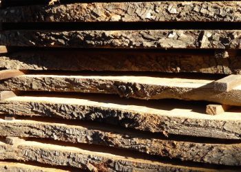 Seriedad para la Zona Franca