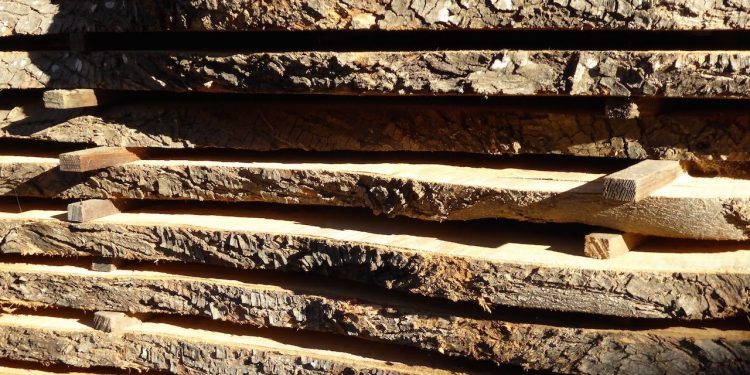 Seriedad para la Zona Franca