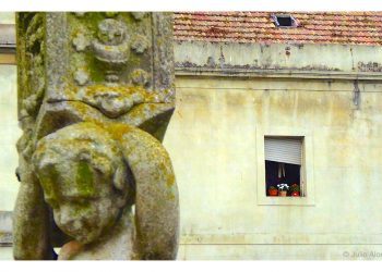 Un asilo con romanticismo