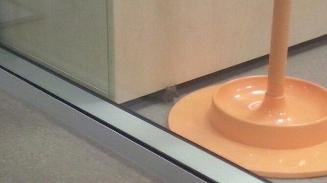 El Sergas paraliza el traslado al hospital tras denuncias por presencia de ratones y aguas residuales