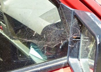 Una sequía que no cesa