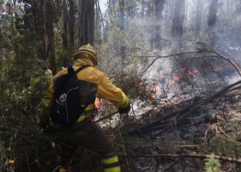 El Estatuto y los montes de Galicia