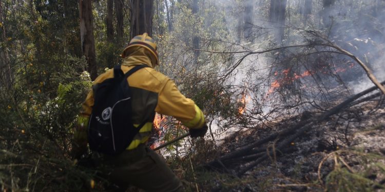El Estatuto y los montes de Galicia