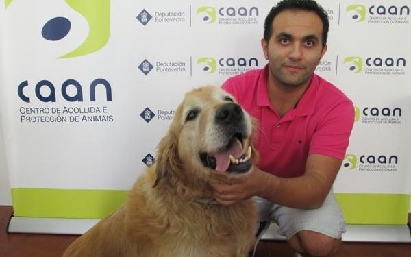 Encuentran en la autovía del Salnés un perro desaparecido en Vigo hace un año