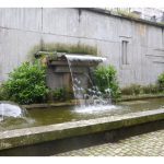 Parque Camilo Jose Cela - 4