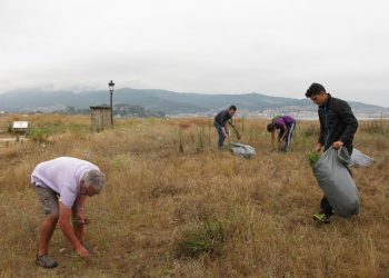 Panxón planta cara a la invasión de sus dunas