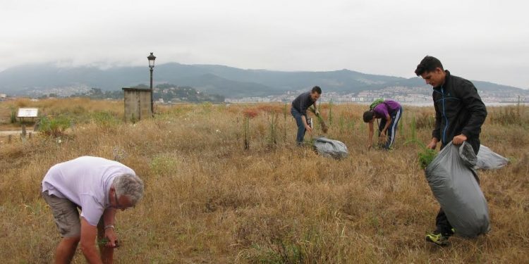 Panxón planta cara a la invasión de sus dunas