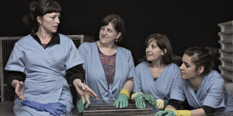 Cita con «As do peixe» en el teatro García Barbón