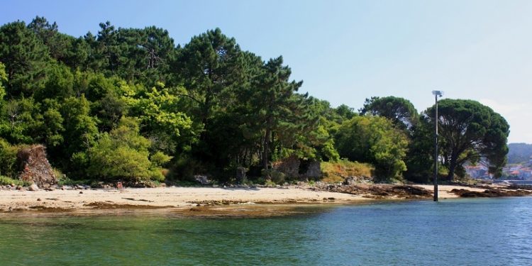 Medio cento de persoas prepáranse para ser guías do parque nacional