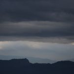 SELIKA0016