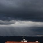 SELIKA0052