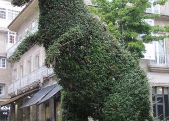 Los dinosaurios de Vigo no se fiscalizan