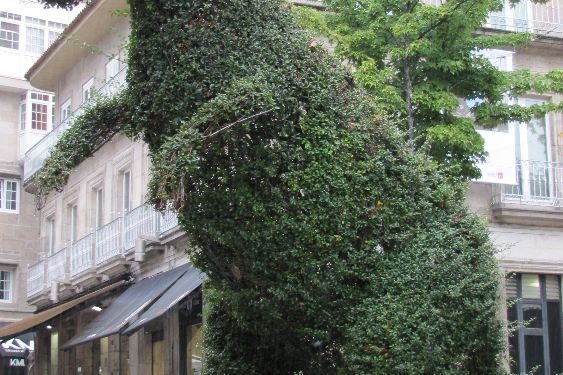 El Concello asegura que los dinosetos tienen «coste cero»