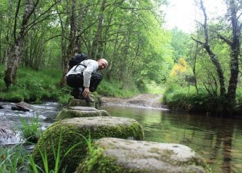 Sendero por As Pontes do Lérez  (y II)