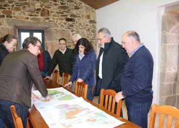 Unha plantación de 80.000 olivos para recuperar terras abandonadas