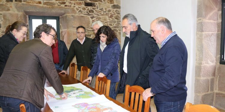 Unha plantación de 80.000 olivos para recuperar terras abandonadas