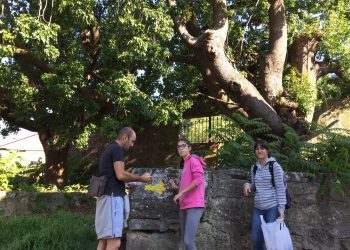 Nigrán sinaliza o traxecto do Camiño de Santiago